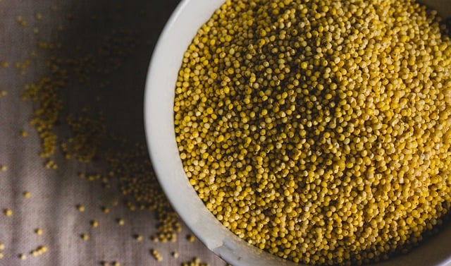 A bowl of cooked millet.